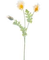 En delikat botanisk illustration av artificiell blomvallmo 73 cm kräm, med två öppna gula blommor och en sluten knopp på gröna stjälkar med tandade blad, mot en vit bakgrund.