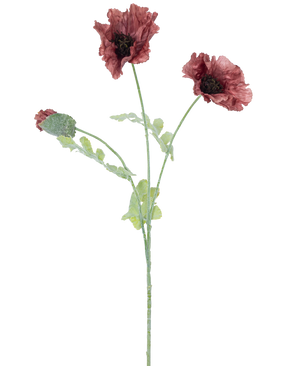 Akvarellillustration av den konstgjorda vallmoblomman 73 cm lila, med tre mörkröda blommor med gröna stjälkar och blad, mot en vanlig vit bakgrund.