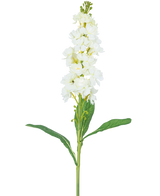 Konstblomma Violier 78 cm vit har en lång stjälk med vita blommor i klasar upptill och långa gröna blad, mot en vanlig vit bakgrund.