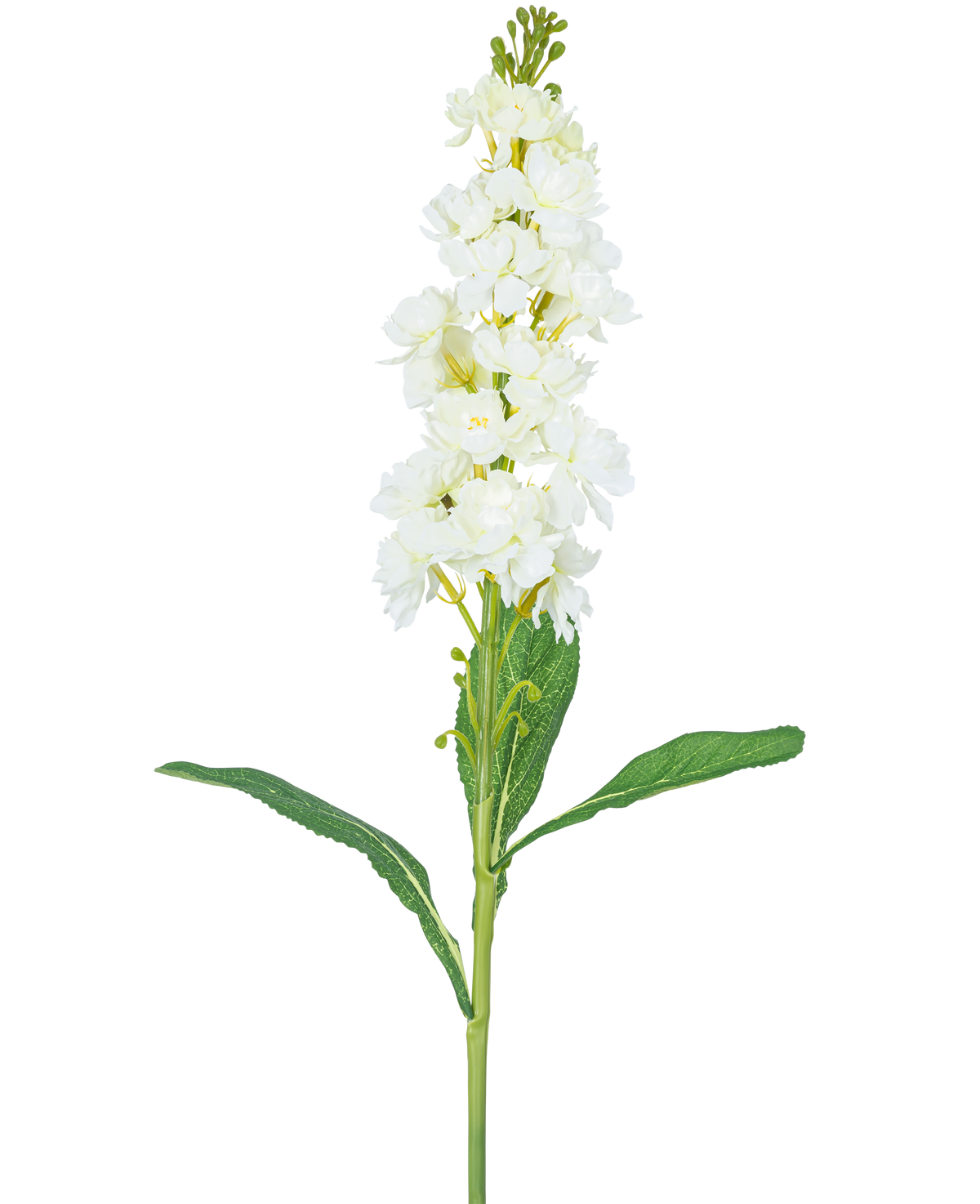 Konstblomma Violier 78 cm vit har en lång stjälk med vita blommor i klasar upptill och långa gröna blad, mot en vanlig vit bakgrund.