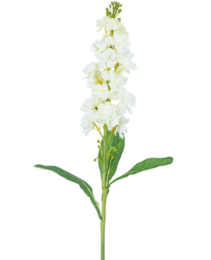 Konstblomma Violier 78 cm vit har en lång stjälk med vita blommor i klasar upptill och långa gröna blad, mot en vanlig vit bakgrund.