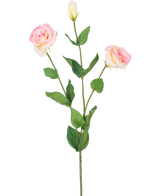 Artificiell Eustoma Real Touch Light Pink 72cm har en enda grön stjälk med två blommande ljusrosa blommor och en sluten knopp, omgiven av gröna löv, mot en vanlig vit bakgrund.