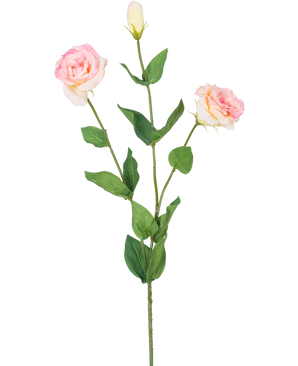 Artificiell Eustoma Real Touch Light Pink 72cm har en enda grön stjälk med två blommande ljusrosa blommor och en sluten knopp, omgiven av gröna löv, mot en vanlig vit bakgrund.