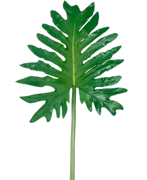 En artificiell bladfilodendron 68 cm, med ett stort grönt tropiskt blad med djupa, oregelbundna flikar och en lång central stjälk, visas mot en vanlig vit bakgrund.