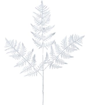 Artificiell grenormbunke 78 cm silver har ett delikat, ljusgrå ormbunksblad med tre huvudgrenar av fint detaljerade löv mot en vanlig vit bakgrund.