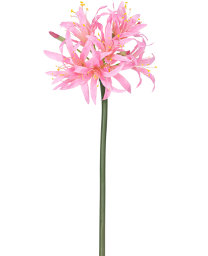 Den konstgjorda blomman Nerine 70 cm rosa har en hög grön stjälk med ett kluster av känsliga, spindelrosa blommor med långa kronblad och gula ståndare, mot en vanlig vit bakgrund.