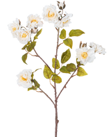Den konstgjorda grenrosen 72 cm vit har en enda brun stjälk med flera grenar, gröna blad och flera stora vita blommor med gula mittpunkter, isolerade på en vit bakgrund.