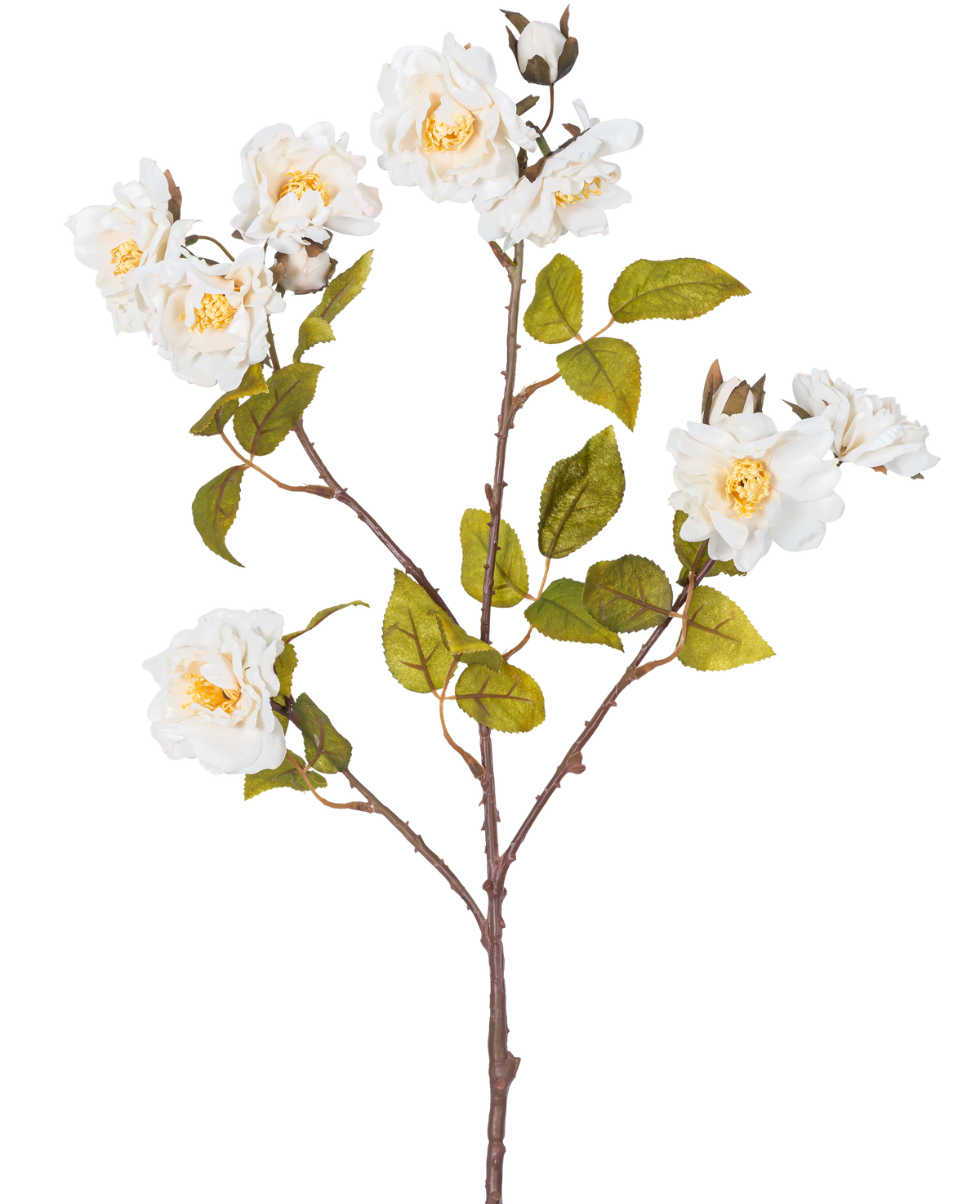 Den konstgjorda grenrosen 72 cm vit har en enda brun stjälk med flera grenar, gröna blad och flera stora vita blommor med gula mittpunkter, isolerade på en vit bakgrund.