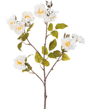 Den konstgjorda grenrosen 72 cm vit har en enda brun stjälk med flera grenar, gröna blad och flera stora vita blommor med gula mittpunkter, isolerade på en vit bakgrund.