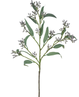 Den konstgjorda grenen Eucalyptusbär 78 cm grå har en enda grön gren med långa, smala blad och klasar av små, gråaktiga knoppar, avbildade mot en vit bakgrund.
