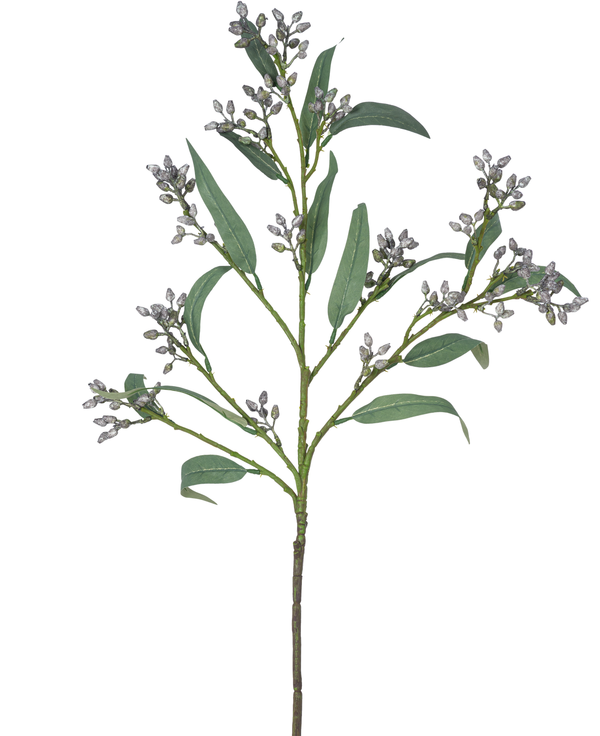 Den konstgjorda grenen Eucalyptusbär 78 cm grå har en enda grön gren med långa, smala blad och klasar av små, gråaktiga knoppar, avbildade mot en vit bakgrund.