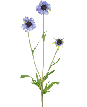Den konstgjorda blomman Scabiosa 63 cm blå har en enda grön stjälk med tre grenar, var och en krönt med en ljuslila-blå, tusensköna-liknande blomma och mörka, långsträckta gröna blad i mitten, allt mot en vanlig vit bakgrund.