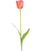 En enda konstgjord blomma fransk tulpan 63 cm orange med en lång grön stjälk och två gröna blad, isolerade på en vit bakgrund.
