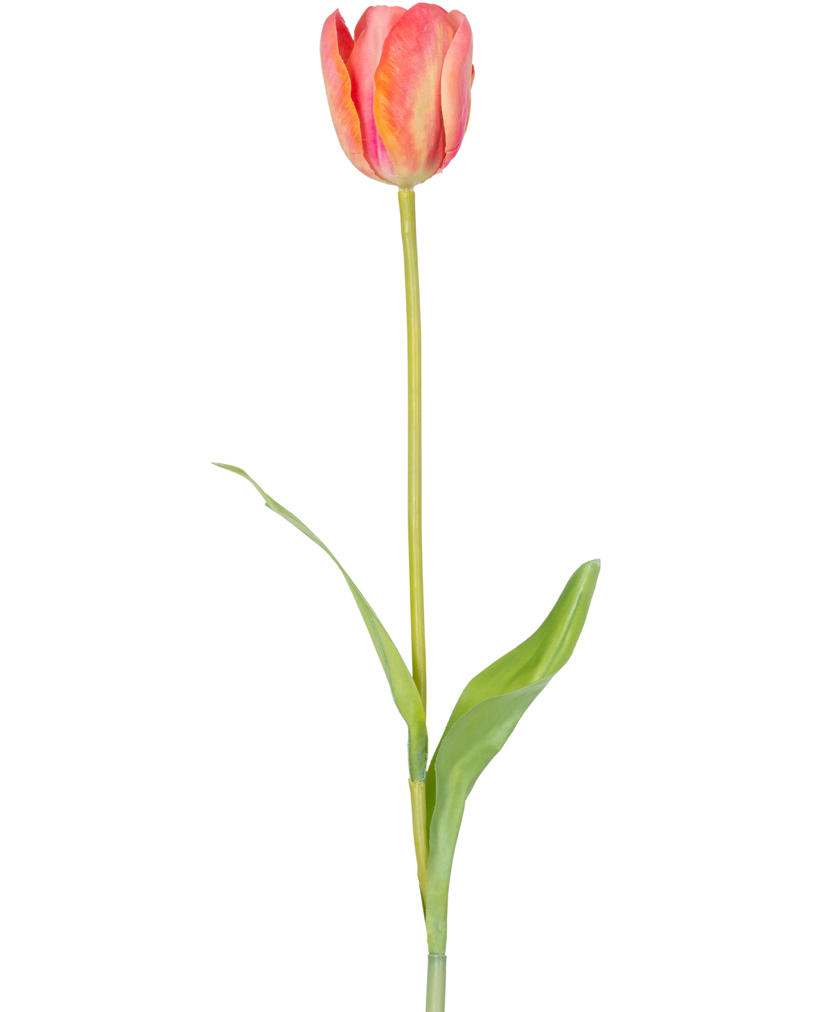 En enda konstgjord blomma fransk tulpan 63 cm orange med en lång grön stjälk och två gröna blad, isolerade på en vit bakgrund.