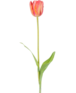 En enda konstgjord blomma fransk tulpan 63 cm orange med en lång grön stjälk och två gröna blad, isolerade på en vit bakgrund.