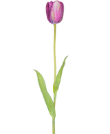 En konstgjord blomma fransk tulpan 60 cm lila, en enda lila tulpan med gröna blad och en lång stjälk, isolerad på en vit bakgrund.