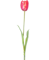 En enkel konstgjord blomma fransk tulpan 60 cm röd med livfulla röda kronblad och gröna blad på en stjälk, mot en vit bakgrund.