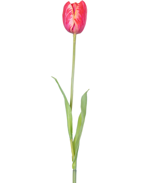 En enkel konstgjord blomma fransk tulpan 60 cm röd med livfulla röda kronblad och gröna blad på en stjälk, mot en vit bakgrund.