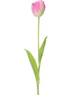 En enda konstgjord blomma fransk tulpan 63 cm rosa med en lång grön stjälk och två gröna blad, isolerade på en vit bakgrund.