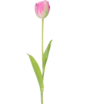 En enda konstgjord blomma fransk tulpan 63 cm rosa med en lång grön stjälk och två gröna blad, isolerade på en vit bakgrund.