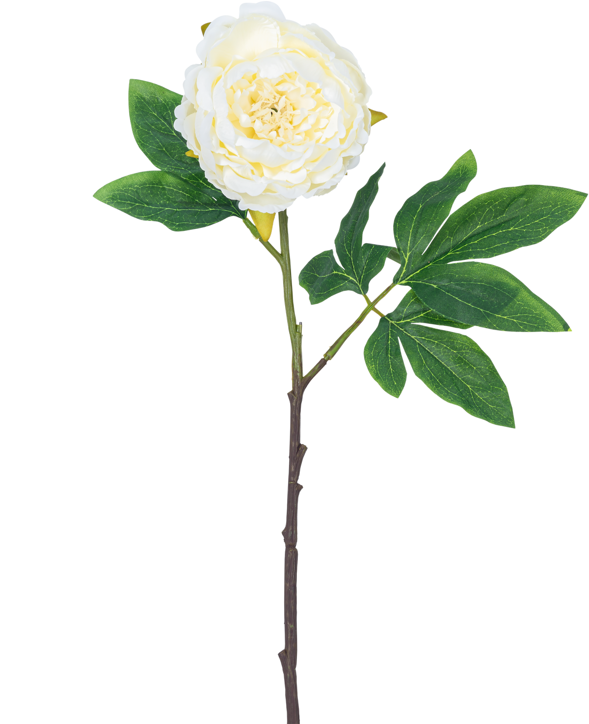 Konstgjord blomma Pion 61 cm vit: en enda vit pion med skiktade kronblad, gröna blad och en lång brun stjälk, isolerad på vit bakgrund.