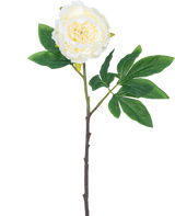 Konstgjord blomma Pion 61 cm vit: en enda vit pion med skiktade kronblad, gröna blad och en lång brun stjälk, isolerad på vit bakgrund.