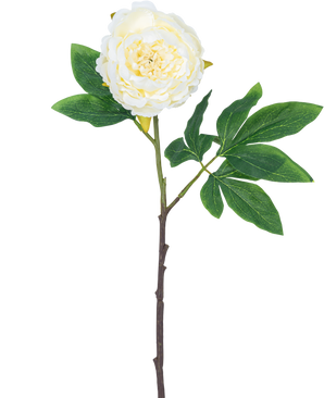 Konstgjord blomma Pion 61 cm vit: en enda vit pion med skiktade kronblad, gröna blad och en lång brun stjälk, isolerad på vit bakgrund.
