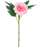 Artificiell pion Real Touch Pink 58cm är en konstgjord rosa pion med skiktade kronblad, ett gult hjärta, gröna blad och en lång brun stjälk, avbildad mot en vanlig vit bakgrund.