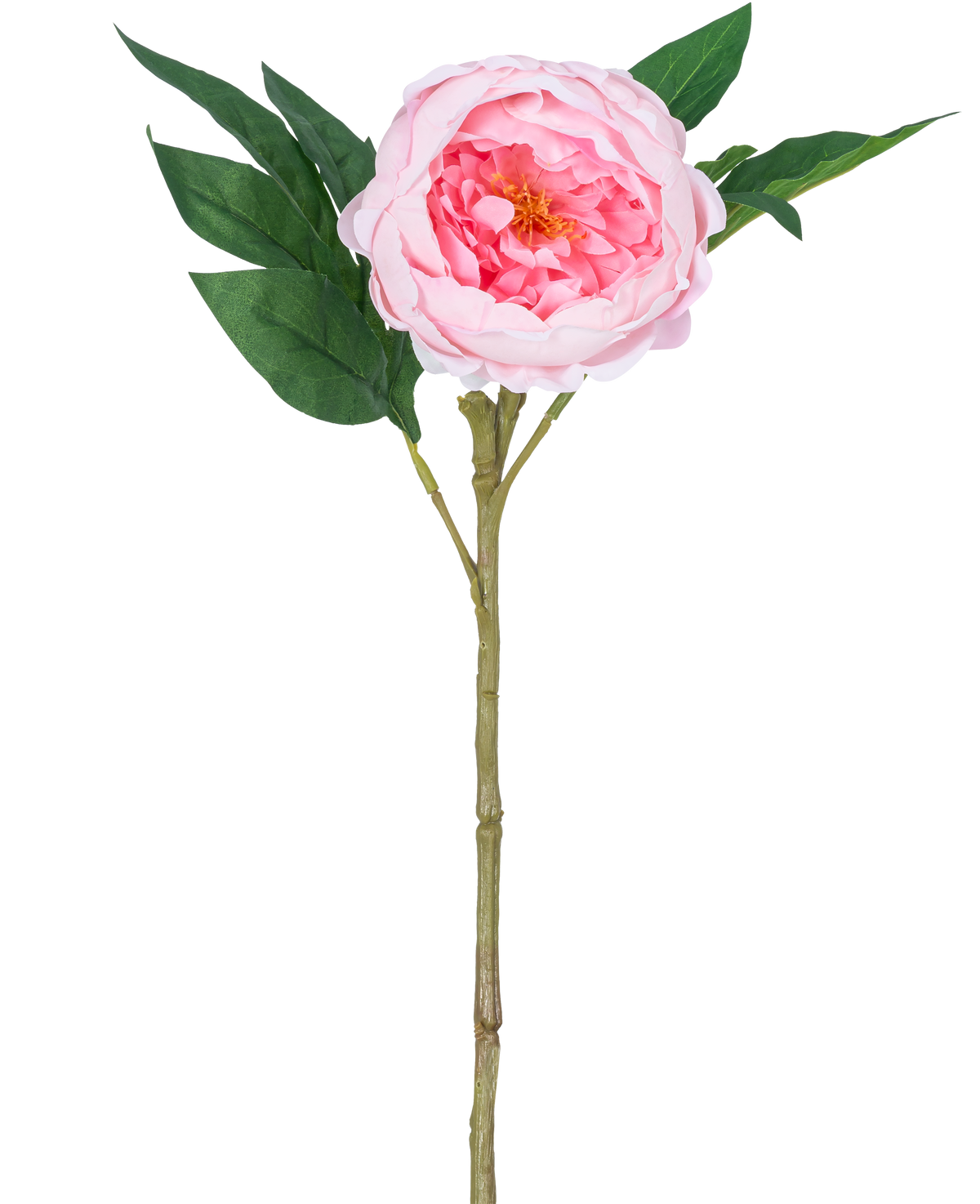 Artificiell pion Real Touch Pink 58cm är en konstgjord rosa pion med skiktade kronblad, ett gult hjärta, gröna blad och en lång brun stjälk, avbildad mot en vanlig vit bakgrund.