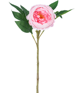 Artificiell pion Real Touch Pink 58cm är en konstgjord rosa pion med skiktade kronblad, ett gult hjärta, gröna blad och en lång brun stjälk, avbildad mot en vanlig vit bakgrund.