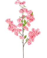 Den konstgjorda körsbärsblomman 100 cm rosa är en enda konstgjord körsbärsblomsgren med klasar av ljust rosa blommor och gröna blad, perfekt för dekorativt bruk.