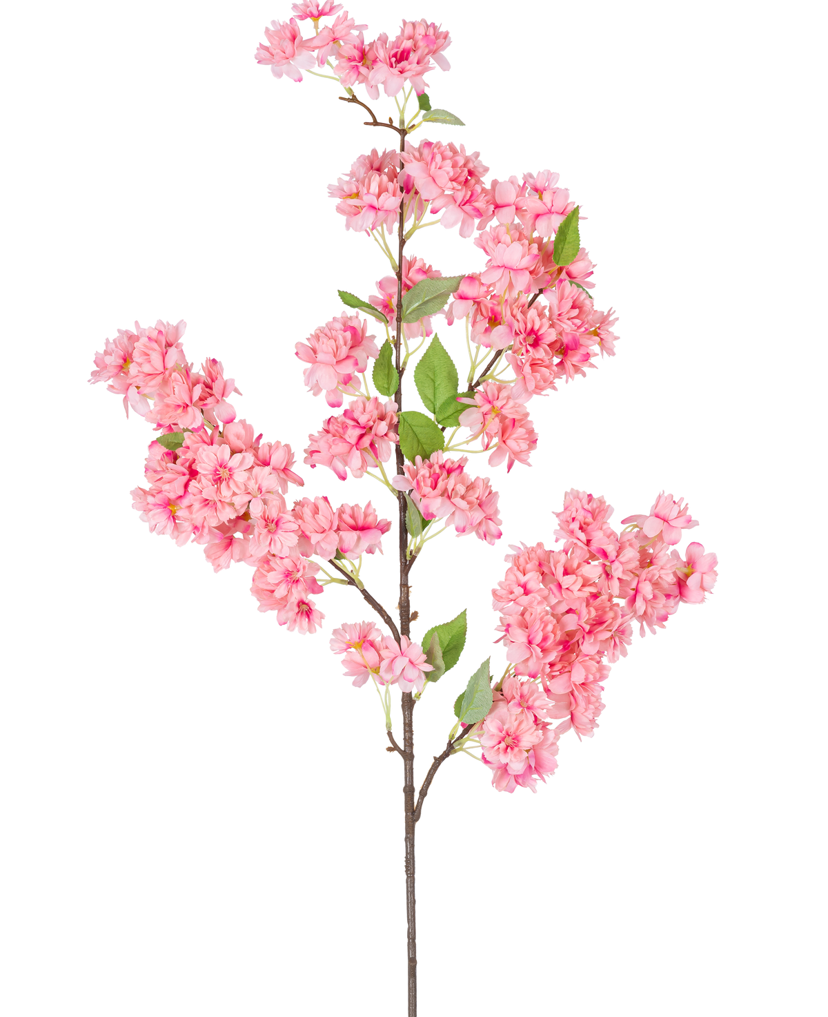 Den konstgjorda körsbärsblomman 100 cm rosa är en enda konstgjord körsbärsblomsgren med klasar av ljust rosa blommor och gröna blad, perfekt för dekorativt bruk.