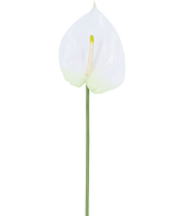 Artificiell blommanthurium 68 cm vit har en enda vit artificiell anthurium med en ljusgul spadix på en lång, grön stjälk. Perfekt för alla utrymmen, den erbjuder varaktig elegans och kräver inget vatten.