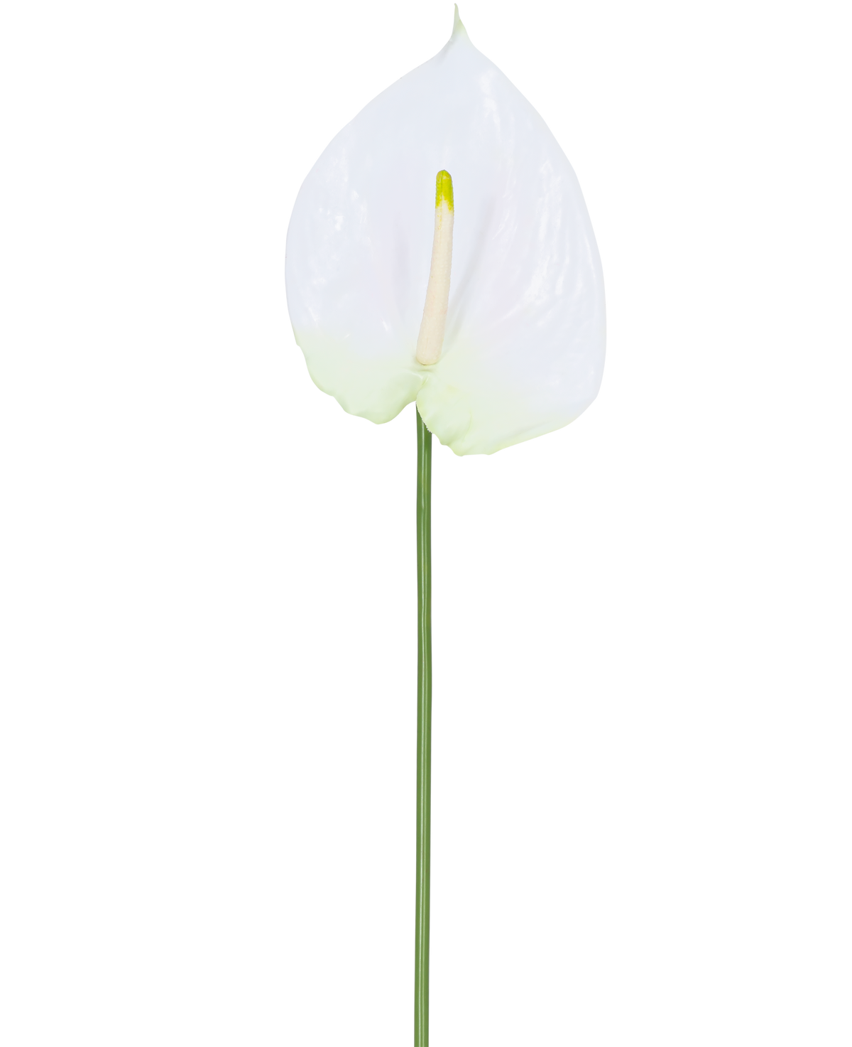 Artificiell blommanthurium 68 cm vit har en enda vit artificiell anthurium med en ljusgul spadix på en lång, grön stjälk. Perfekt för alla utrymmen, den erbjuder varaktig elegans och kräver inget vatten.