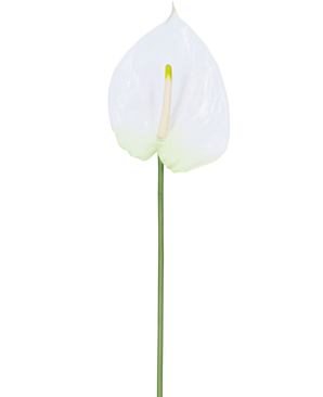 Artificiell blommanthurium 68 cm vit har en enda vit artificiell anthurium med en ljusgul spadix på en lång, grön stjälk. Perfekt för alla utrymmen, den erbjuder varaktig elegans och kräver inget vatten.