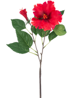 Den konstgjorda blomman Hibiscus 63 cm röd har en enda stjälk med livfulla röda hibiskusblommor och gröna blad mot en vanlig vit bakgrund.