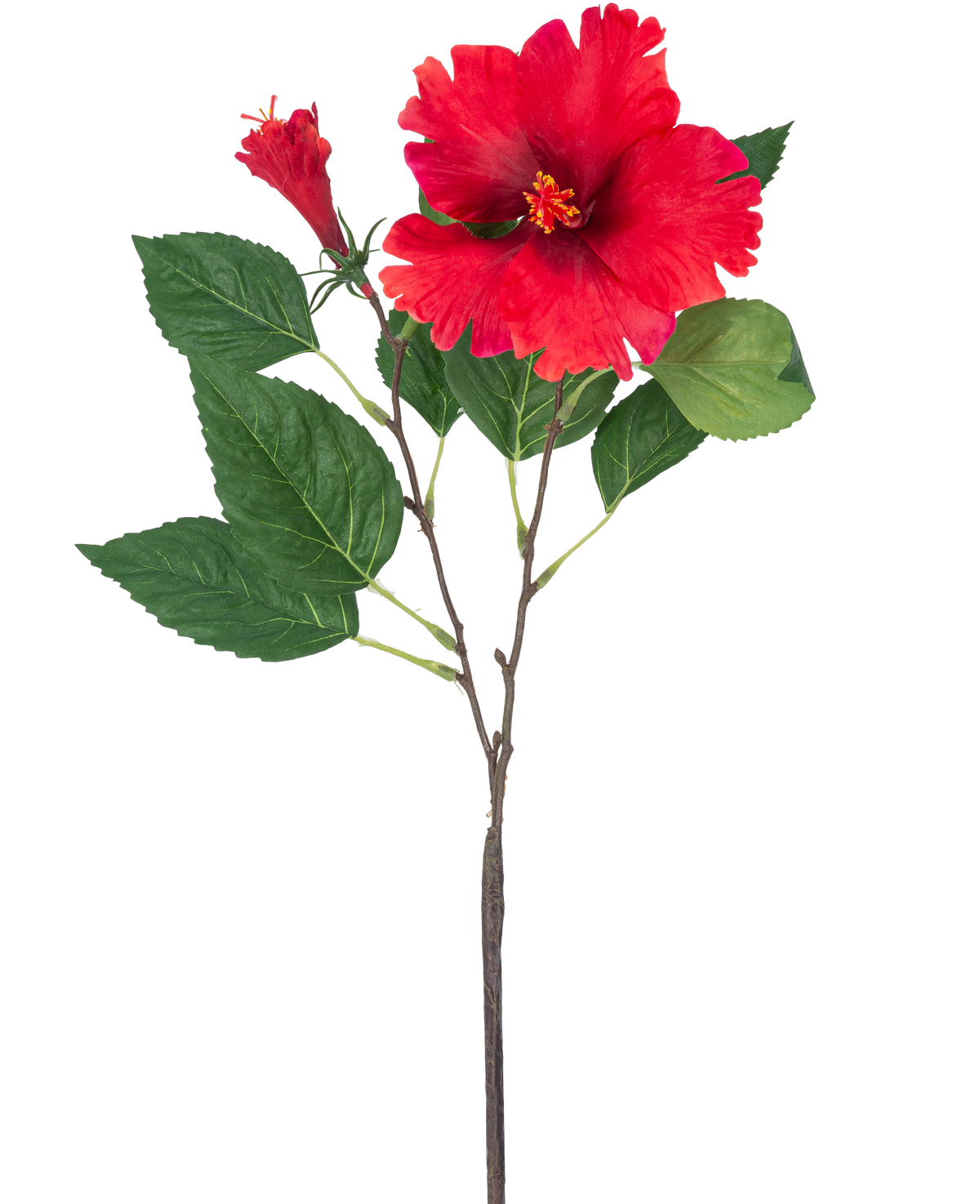 Den konstgjorda blomman Hibiscus 63 cm röd har en enda stjälk med livfulla röda hibiskusblommor och gröna blad mot en vanlig vit bakgrund.