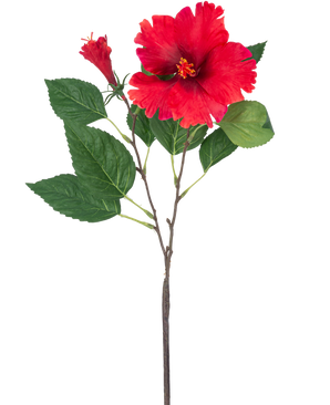 Den konstgjorda blomman Hibiscus 63 cm röd har en enda stjälk med livfulla röda hibiskusblommor och gröna blad mot en vanlig vit bakgrund.