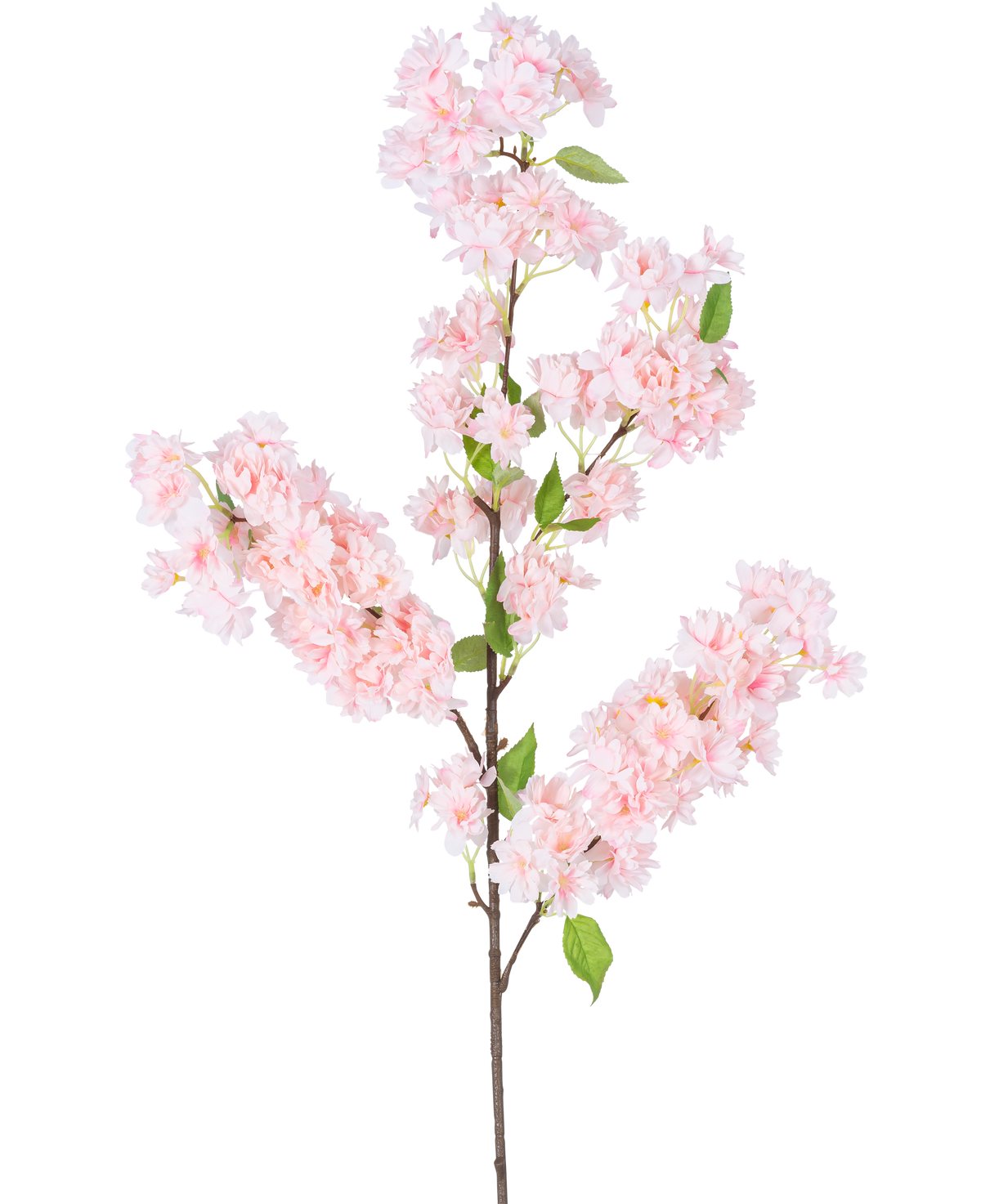 Den konstgjorda körsbärsblomman 100 cm rosa har en lång brun stjälk, klasar av ljusrosa körsbärsblommor och gröna blad mot en vit bakgrund.