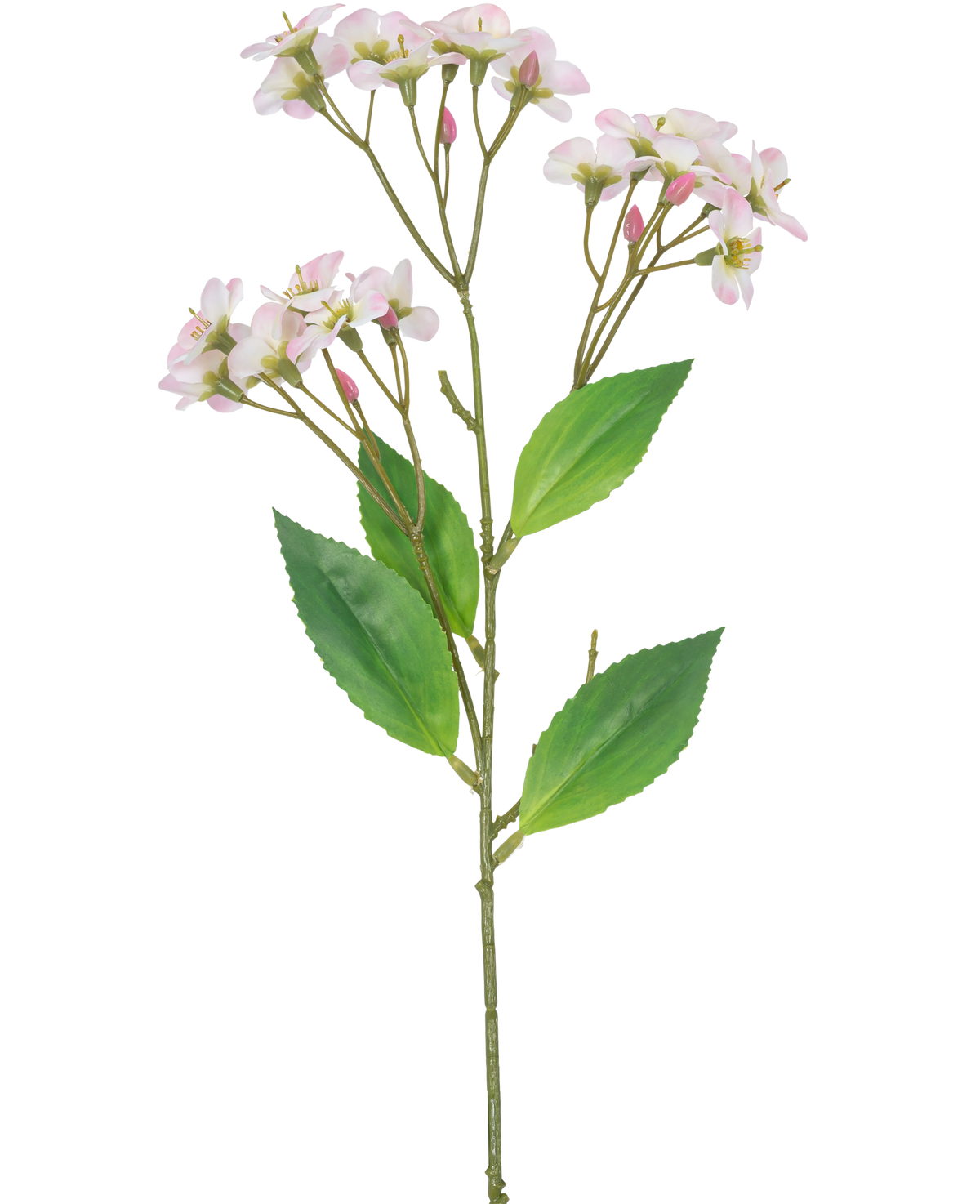 En konstgjord blomorkidé Real Touch Pink på 50 cm med flera klasar av ljusrosa blommor och gröna blad, isolerade på en vit bakgrund.
