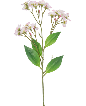 En konstgjord blomorkidé Real Touch Pink på 50 cm med flera klasar av ljusrosa blommor och gröna blad, isolerade på en vit bakgrund.
