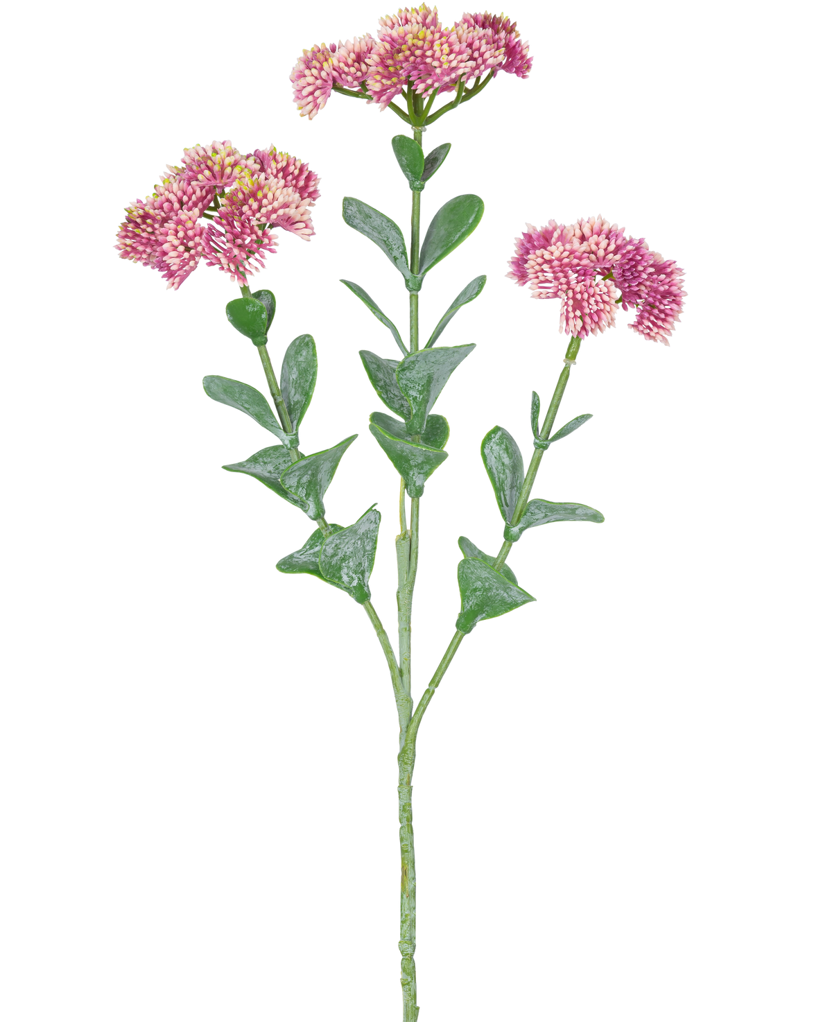 Den konstgjorda grenen Sedum 56 cm ljusrosa har en enda grön stjälk med flera grenar, var och en dekorerad med klasar av små, ljusrosa blommor med rundade kronblad, mot en vit bakgrund.