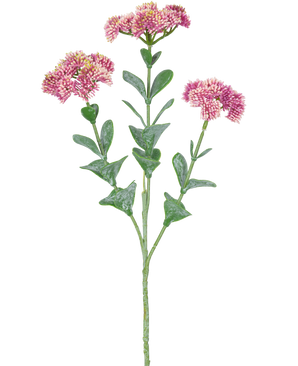 Den konstgjorda grenen Sedum 56 cm ljusrosa har en enda grön stjälk med flera grenar, var och en dekorerad med klasar av små, ljusrosa blommor med rundade kronblad, mot en vit bakgrund.