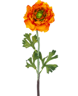 Den konstgjorda blomman Ranunculus 51 cm orange är en konstgjord orange ranunculusblomma med skiktade kronblad och gröna blad på en lång stjälk, perfekt som en dekorativ accent.