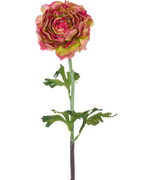 Den konstgjorda blomman Ranunculus 51 cm rosa/grön är en enda konstgjord ranunculus med rosa och gröna kronblad, gröna blad och en lång stjälk, mot en vit bakgrund.