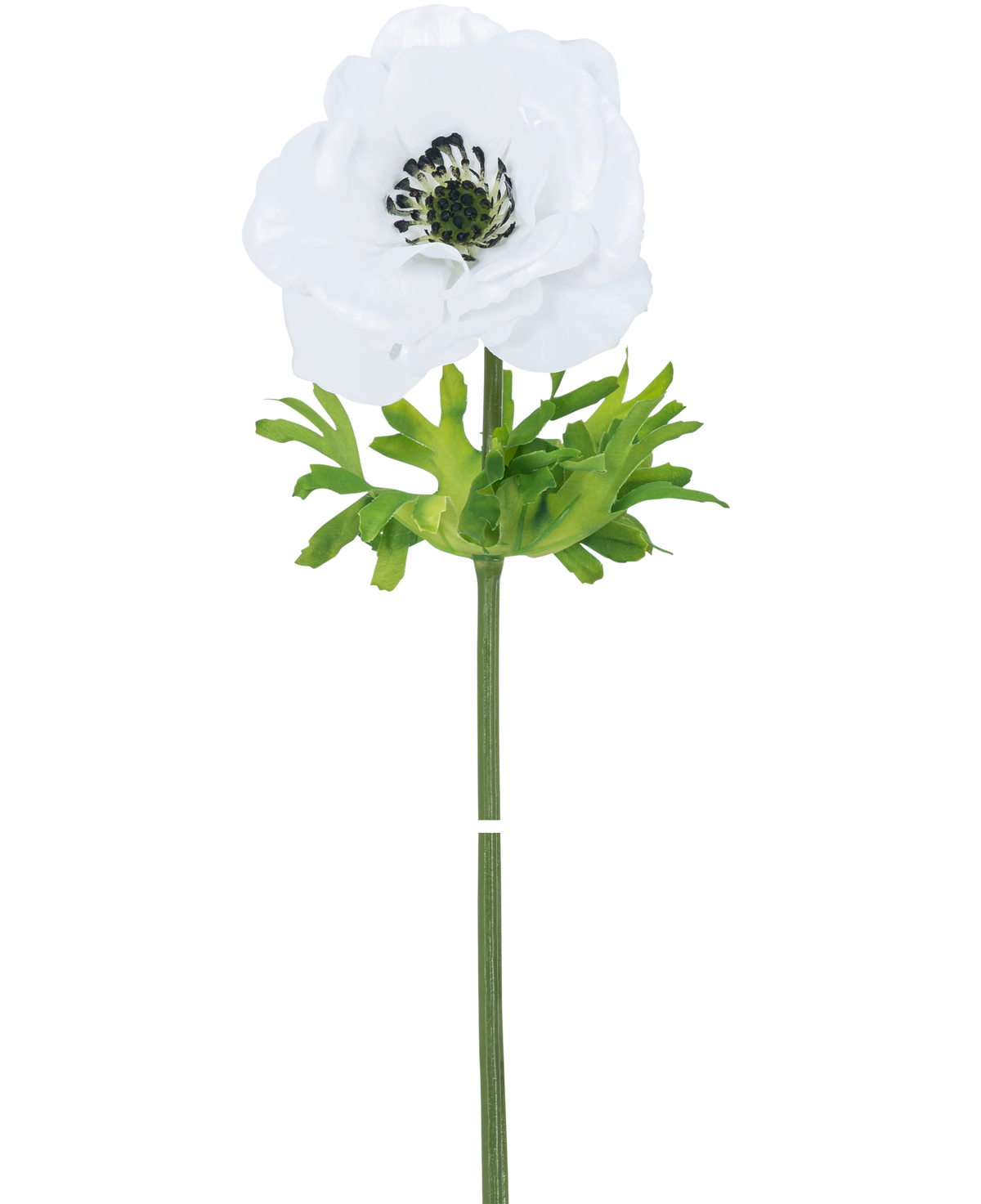 Den konstgjorda blommanemone Real Touch White 52 cm har en enda vit blomma med fina kronblad, ett mörkt hjärta och gröna blad på en lång, rak stjälk, mot en vanlig vit bakgrund.