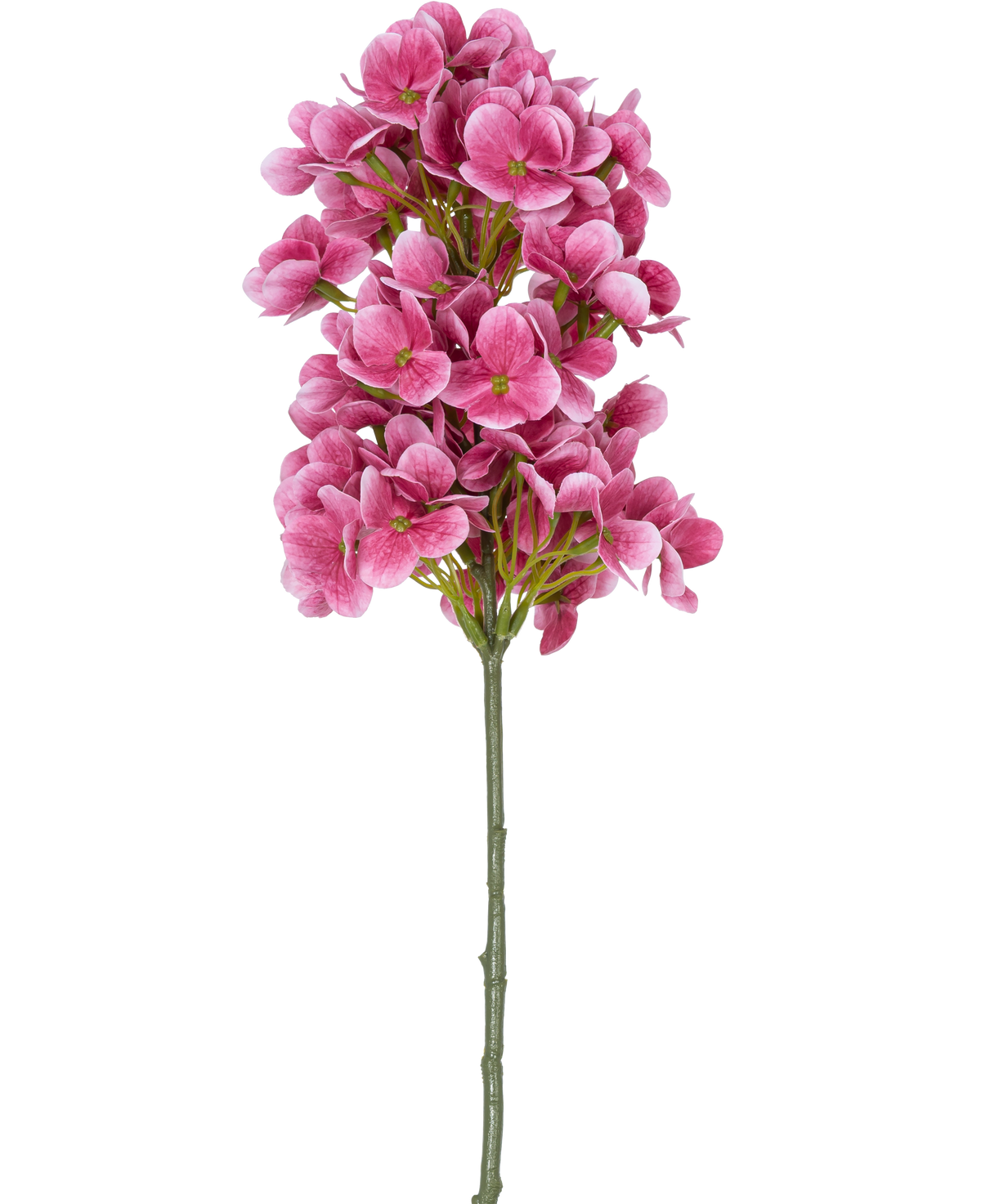 En enda stjälk av den konstgjorda blomman Snowball Real Touch Pink 58 cm, med klasar av ljust rosa konstgjorda hortensialiknande blommor med ett grönt hjärta, isolerade på en vit bakgrund.