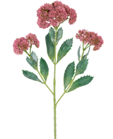 En digital illustration av den konstgjorda grenen Sedum 48 cm röd visar en blommande växt med gröna blad och klasar av små, rosa-lila blommor på grenade stjälkar, mot en vit bakgrund.