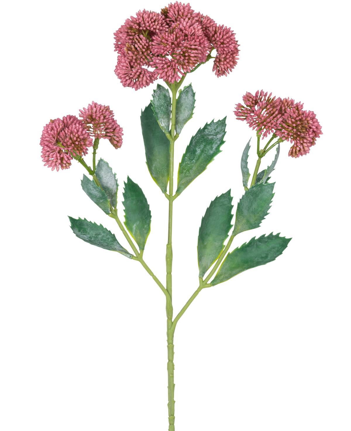 En digital illustration av den konstgjorda grenen Sedum 48 cm röd visar en blommande växt med gröna blad och klasar av små, rosa-lila blommor på grenade stjälkar, mot en vit bakgrund.