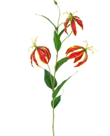 Den konstgjorda blomman Gloriosa Real Touch Red 75 cm har en enda stjälk med tre livfulla röda och gula liljablommor och långa gröna blad, mot en vit bakgrund.